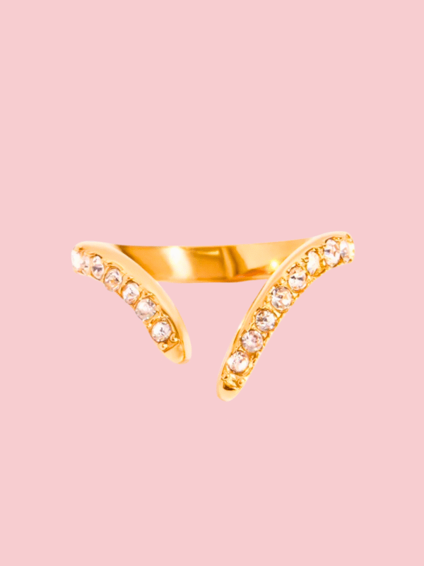 22 Bague zuri